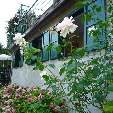 Charming With View In *